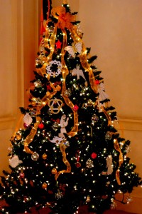 2015-12-20 Christmas Tree @ Lucas